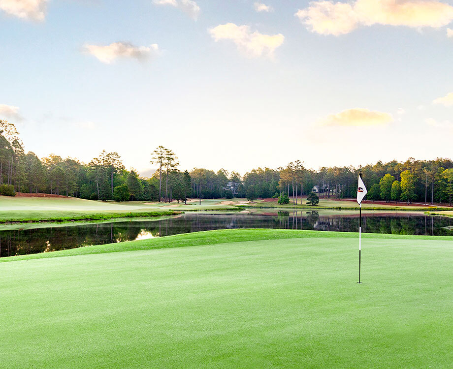 Forest Creek Hires TPI Level 1 Certified Teaching Professional